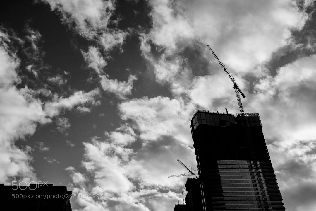 Fujifilm X100T sample photo. L a-363 photography