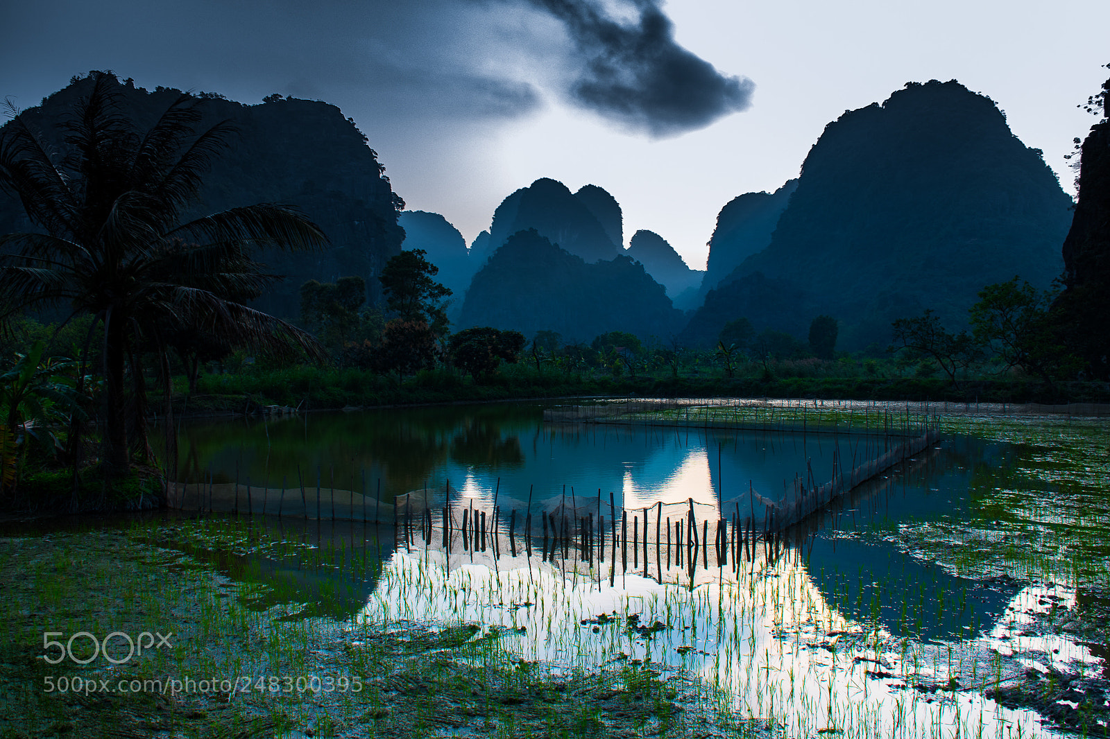 Nikon D5600 sample photo. Ninh binh, vietnam photography