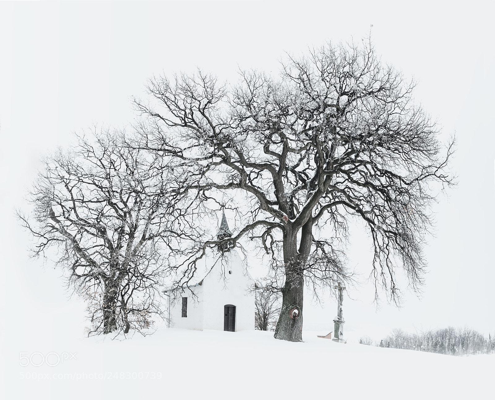 Sony a7 II sample photo. Oak hill photography