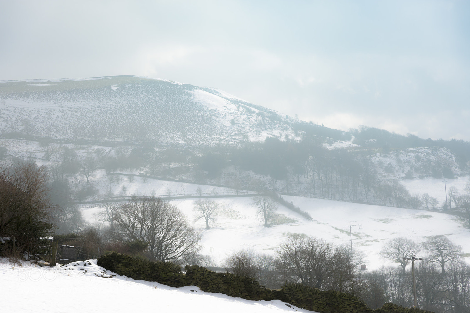 Nikon D7200 sample photo. Cheese gate nab, near photography