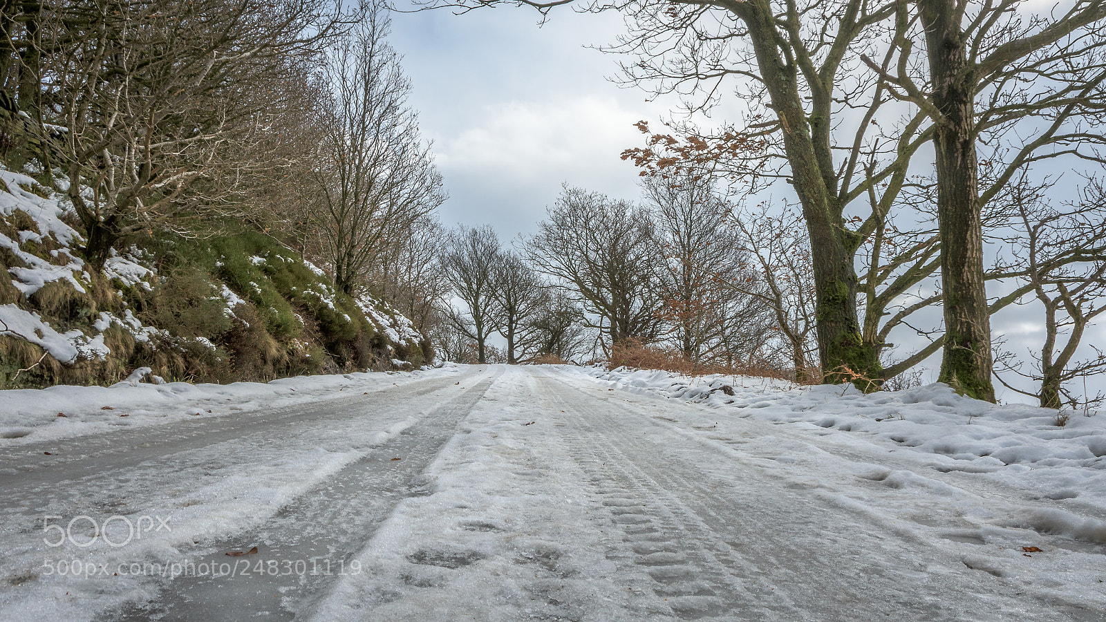 Nikon D7200 sample photo. Scar hole lane, near photography