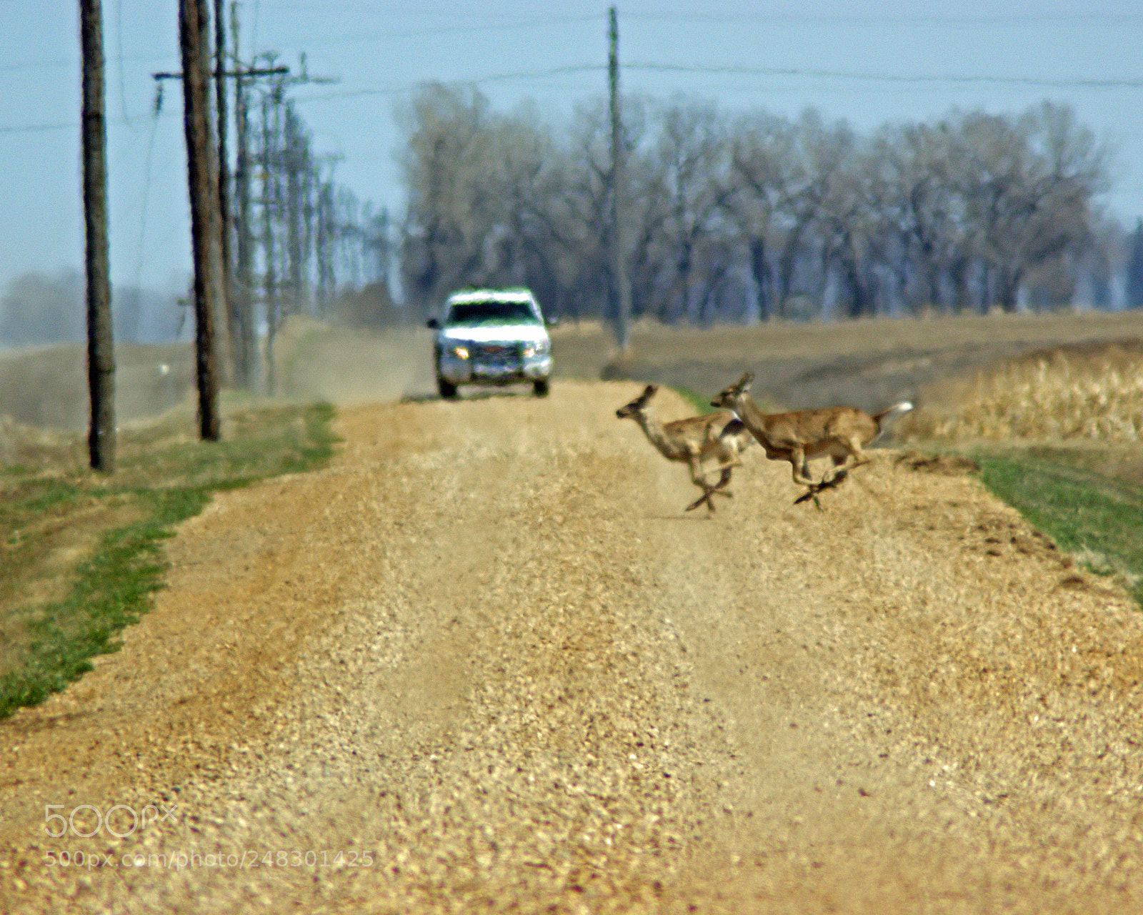 Sony Alpha DSLR-A350 sample photo. Run faster photography