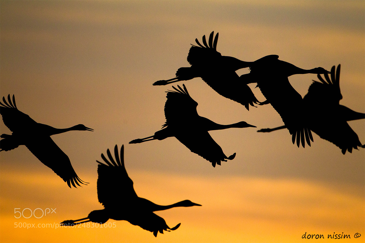 Canon EOS-1D Mark IV sample photo. Sunrise photography