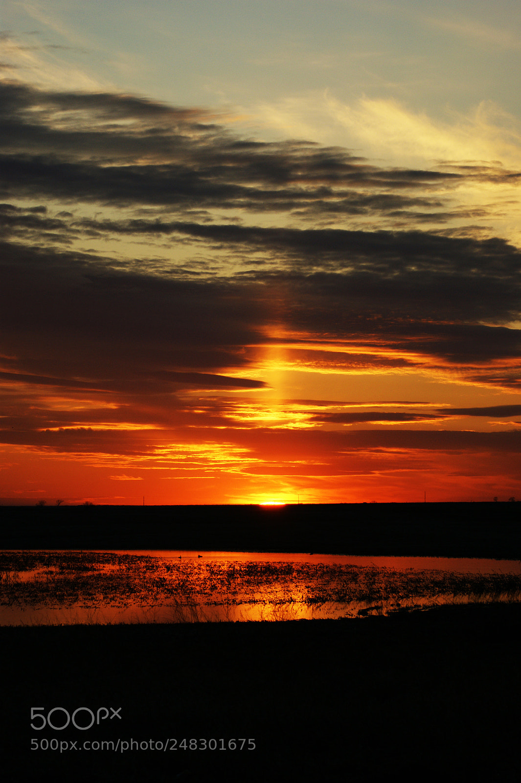 Sony Alpha DSLR-A350 sample photo. Peaceful sunset photography