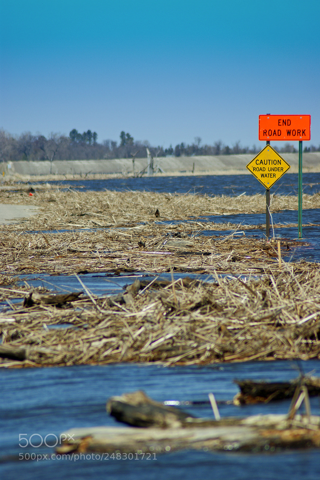 Sony Alpha DSLR-A350 sample photo. Flood photography