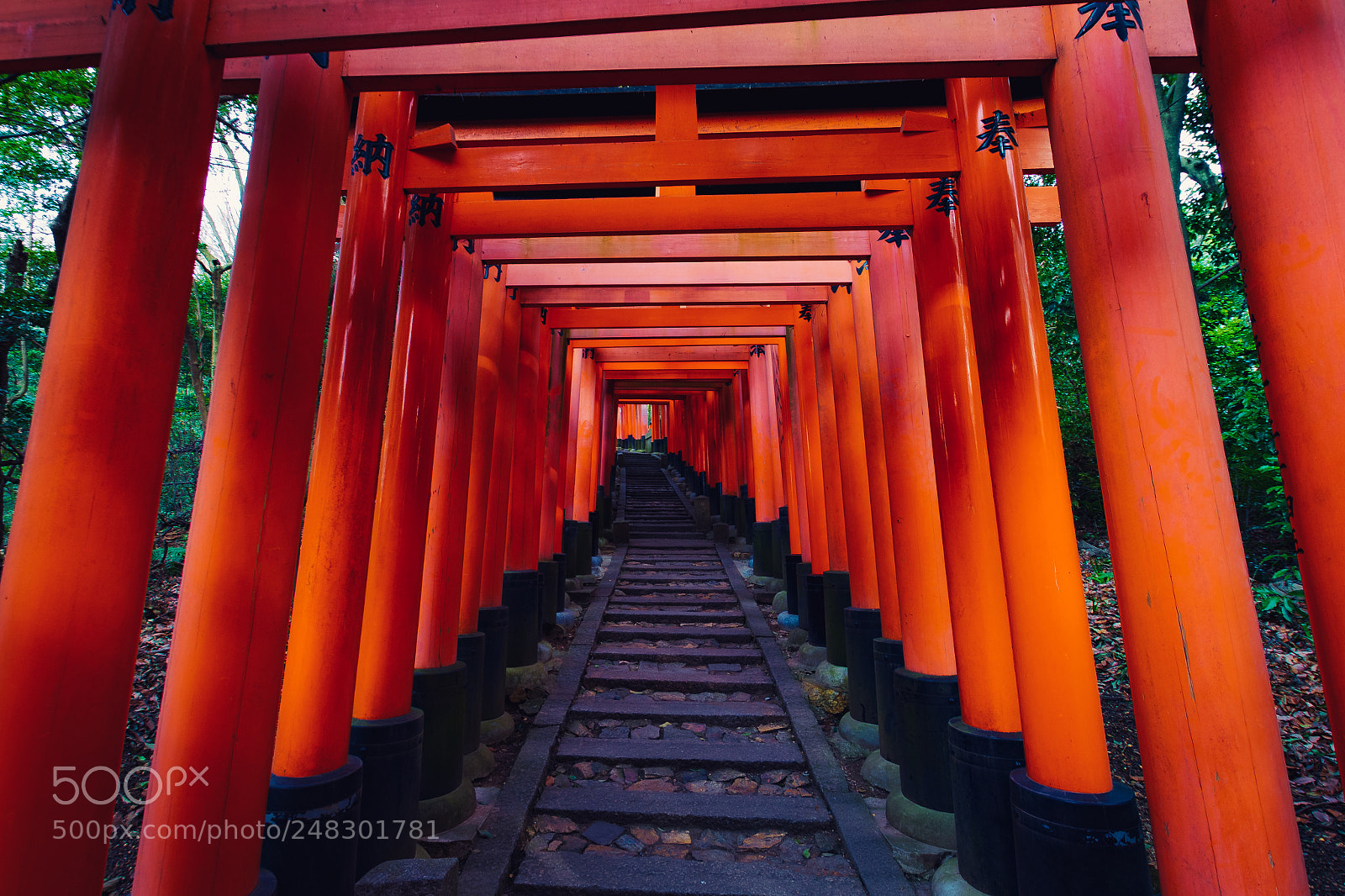 Nikon D7500 sample photo. 京都伏見稲荷大社 千本鳥居 photography