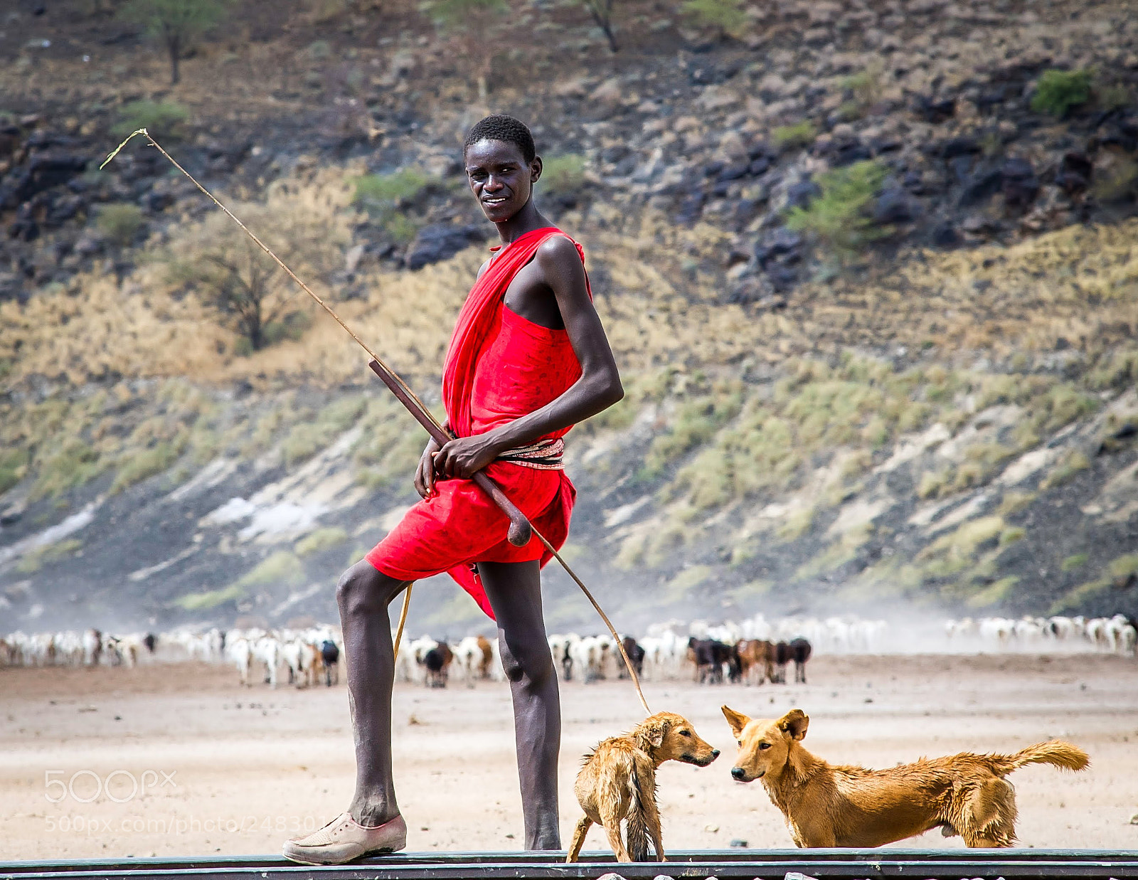 Nikon D700 sample photo. Masai herdman photography