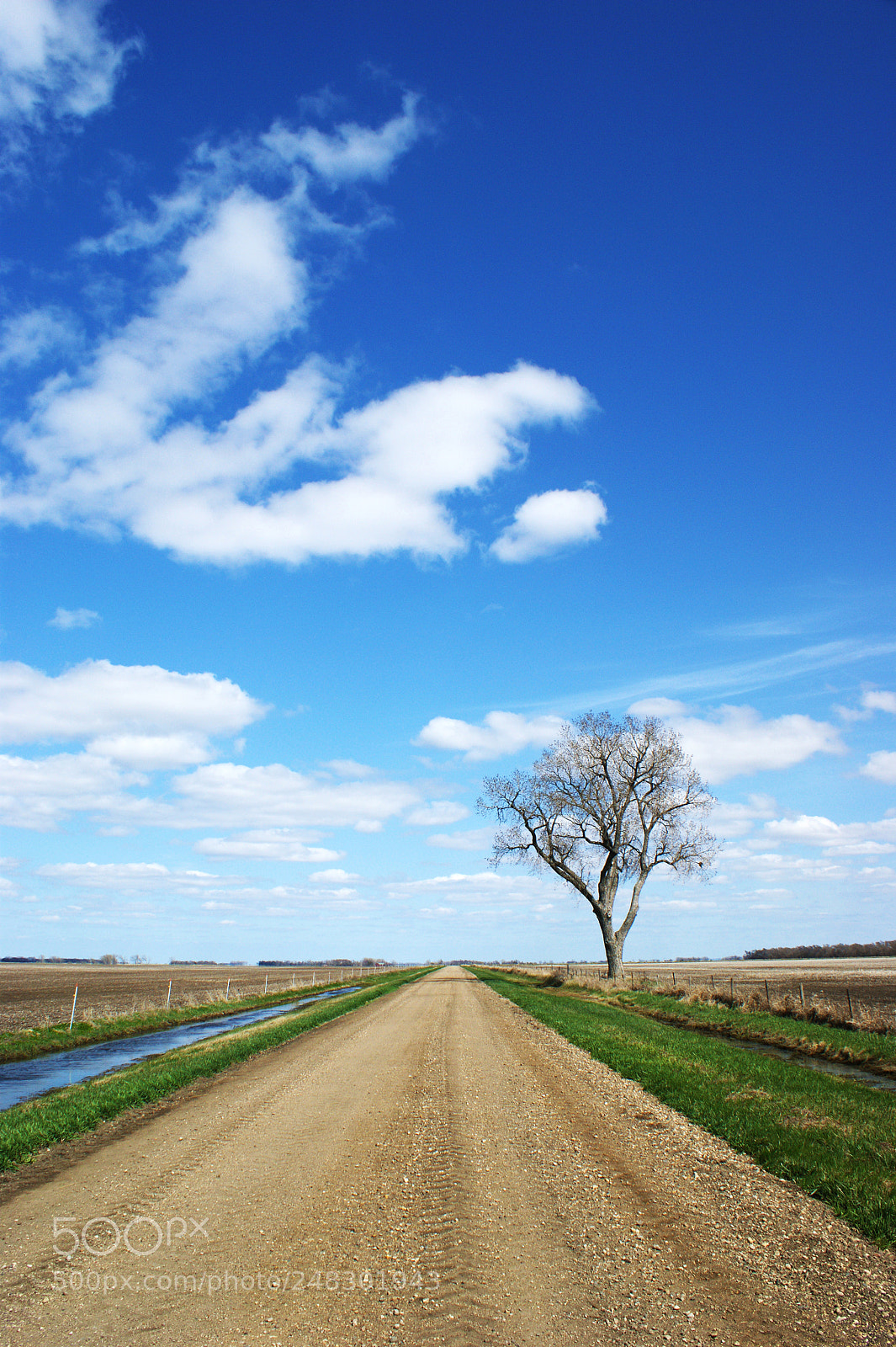 Sony Alpha DSLR-A350 sample photo. Dirt road photography