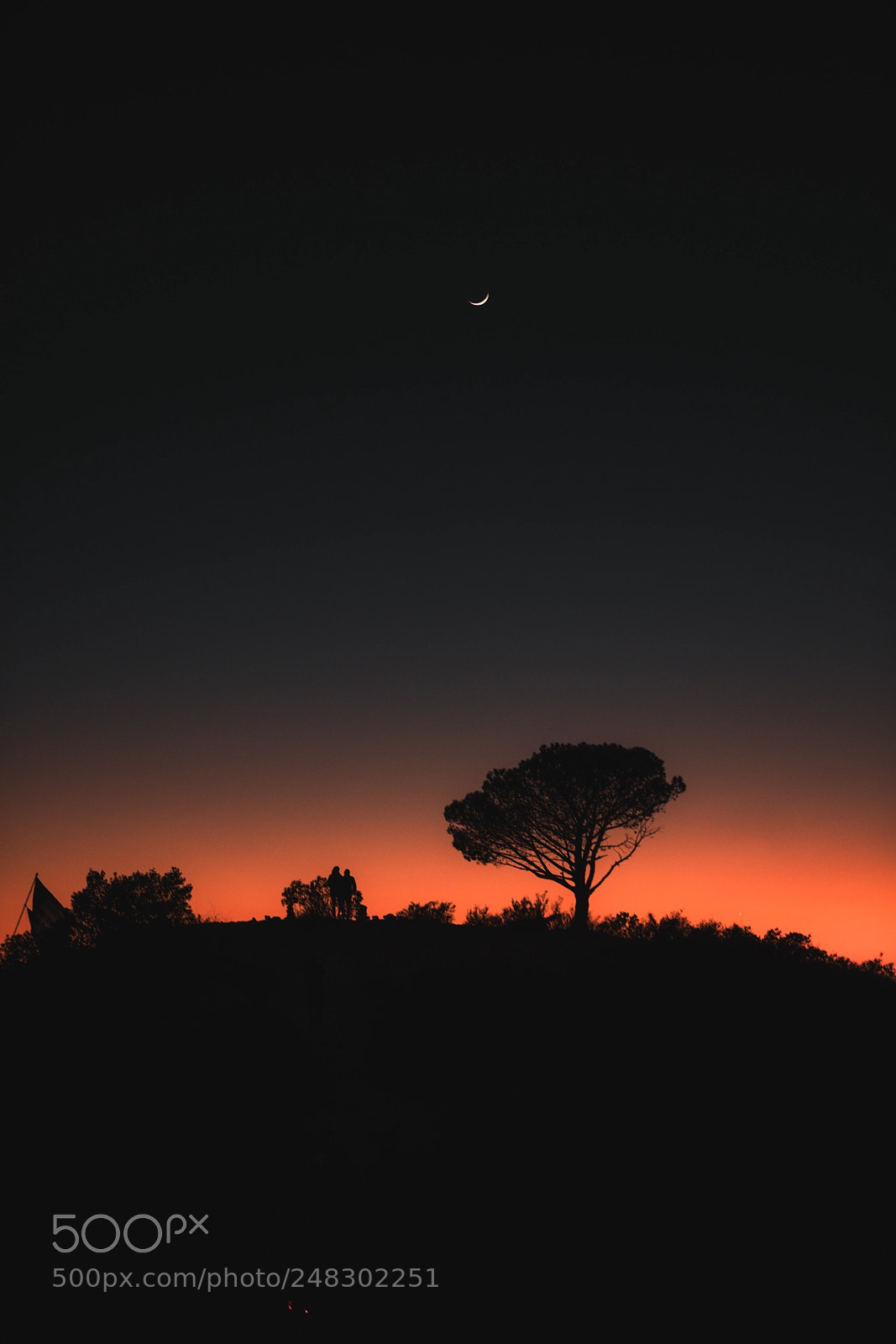 Sony a7R III sample photo. Magic-tree. photography