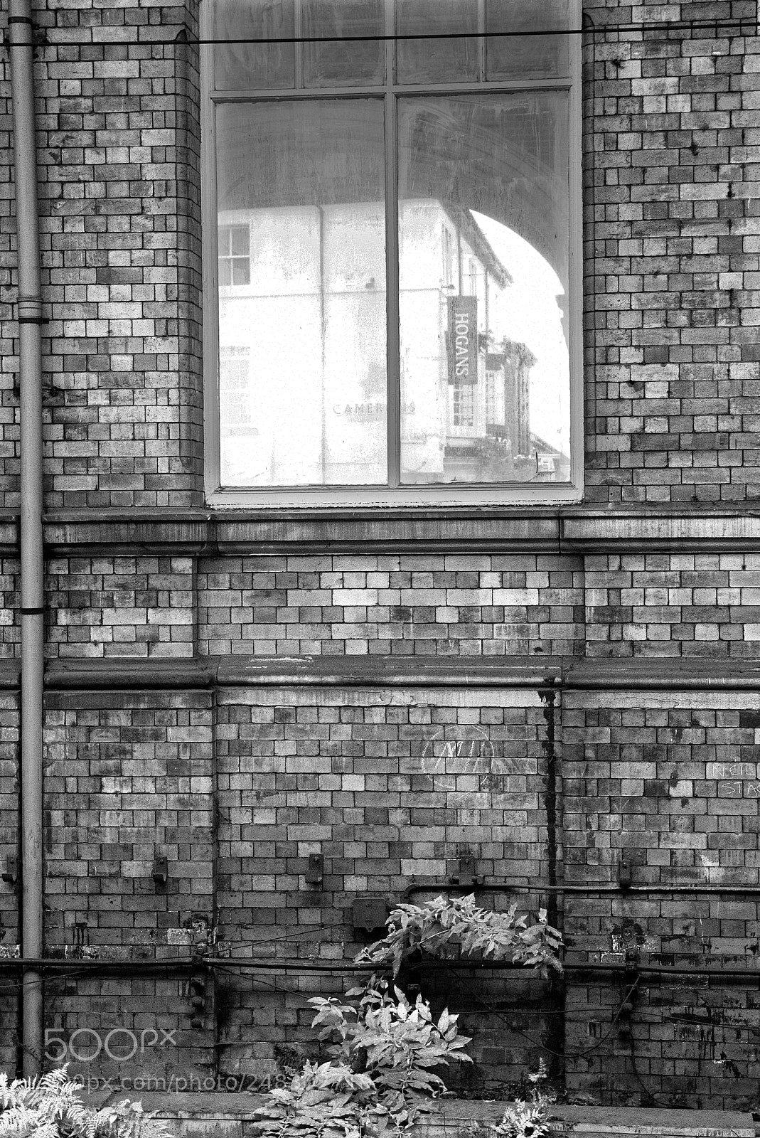 Canon EOS 450D (EOS Rebel XSi / EOS Kiss X2) sample photo. Window and wall photography