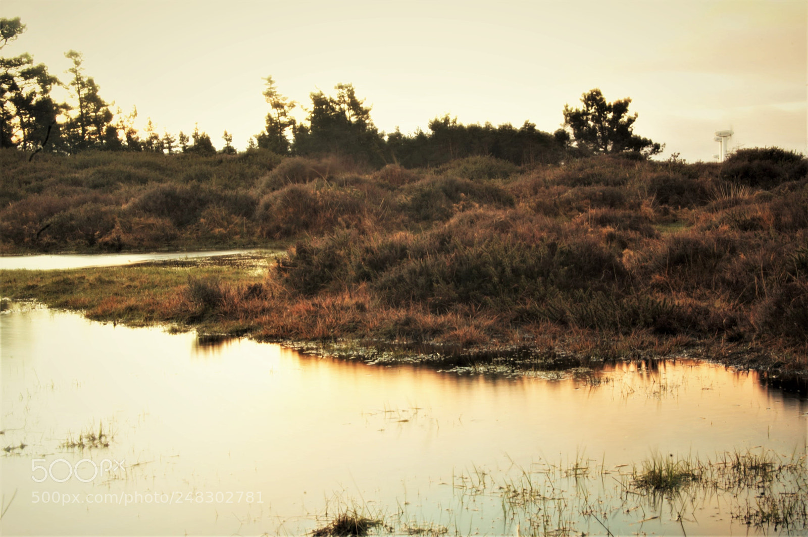 Nikon D40 sample photo. Monte caxado photography