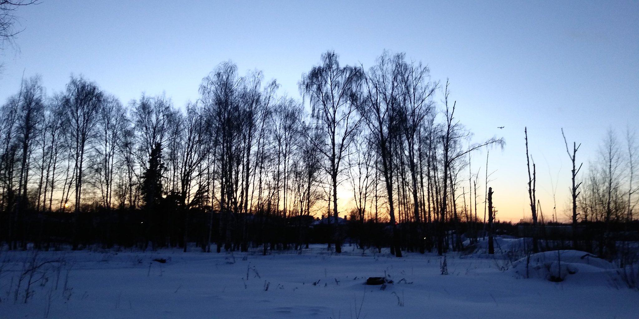 LG Q6 sample photo. Evening photography