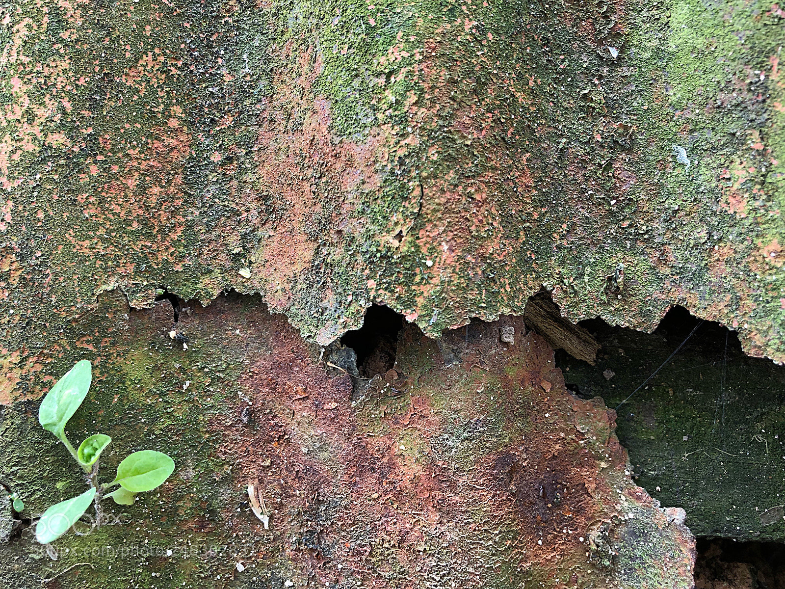 Apple iPhone 8 Plus sample photo. Rusty zinc photography