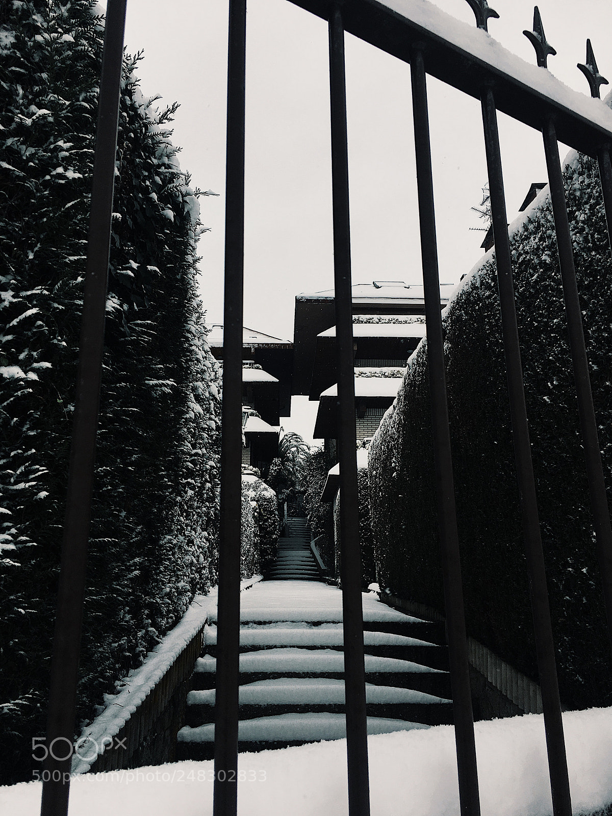 Apple iPhone 6s sample photo. When it snows photography