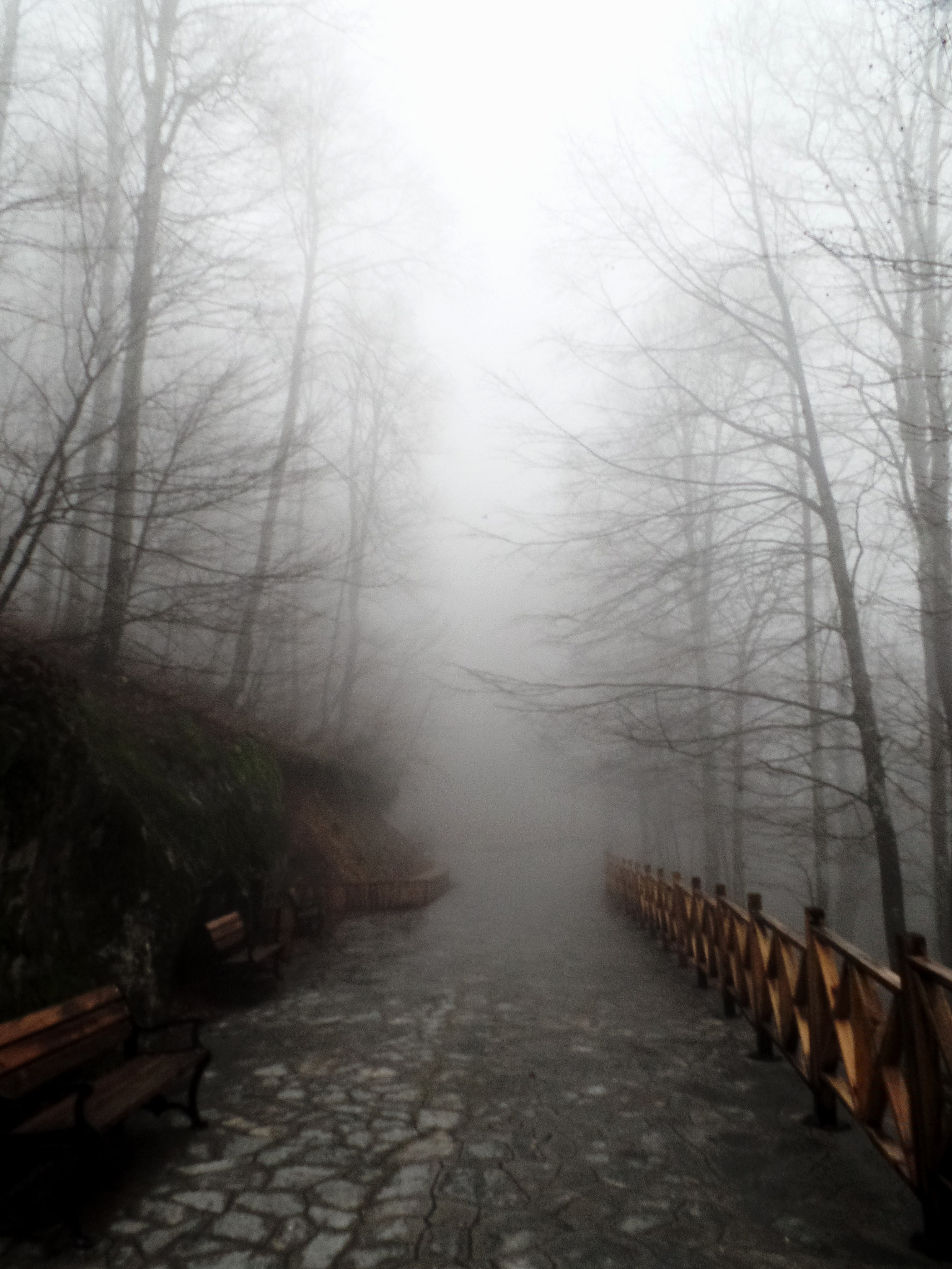 Samsung WB350F/WB351F/WB352F sample photo. Samsung camera pictures�������� photography