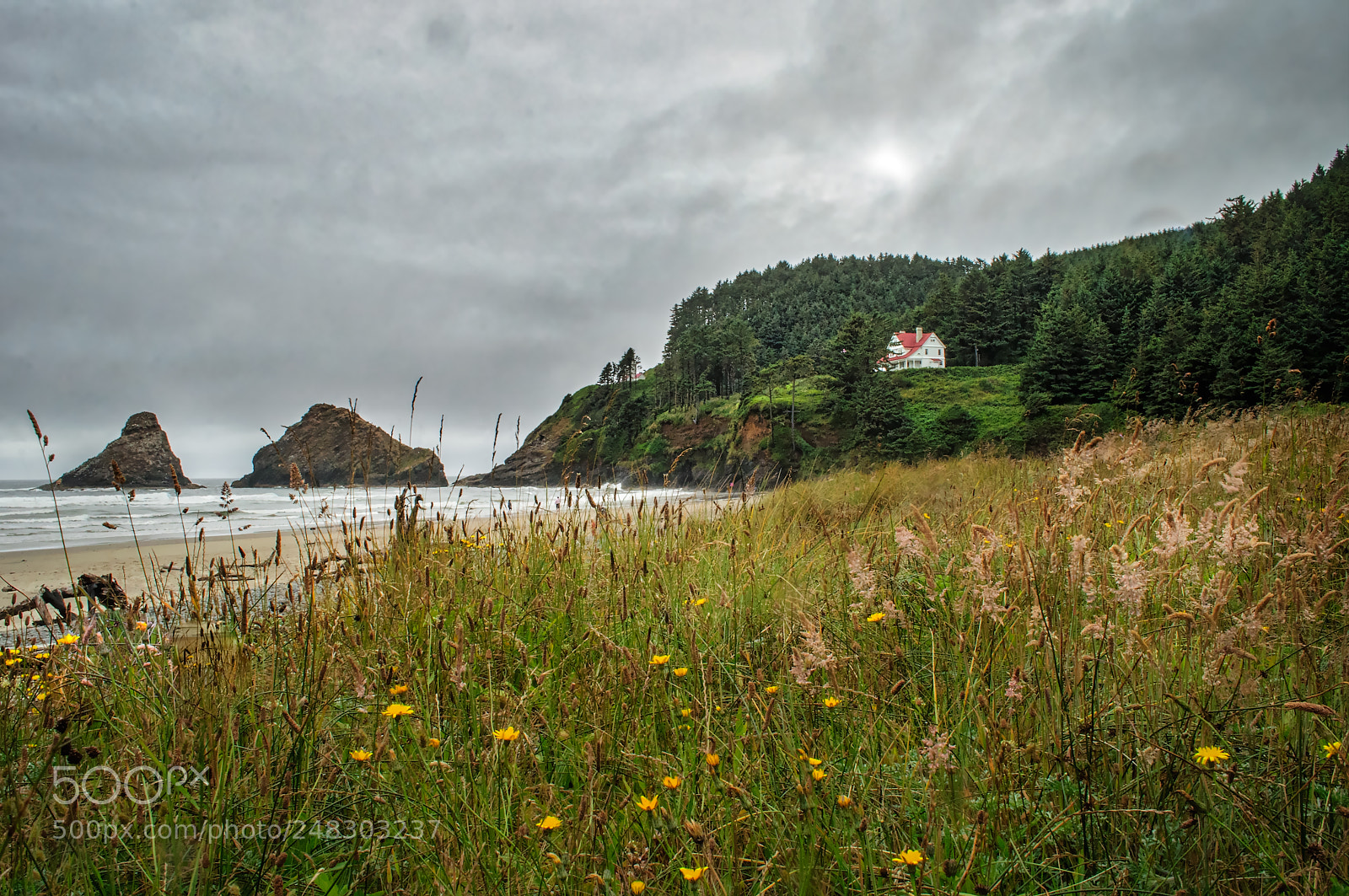 Nikon D5000 sample photo. Oregon coastline photography
