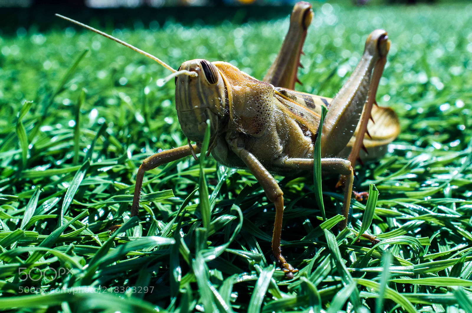 Fujifilm FinePix X100 sample photo. Untitled photography