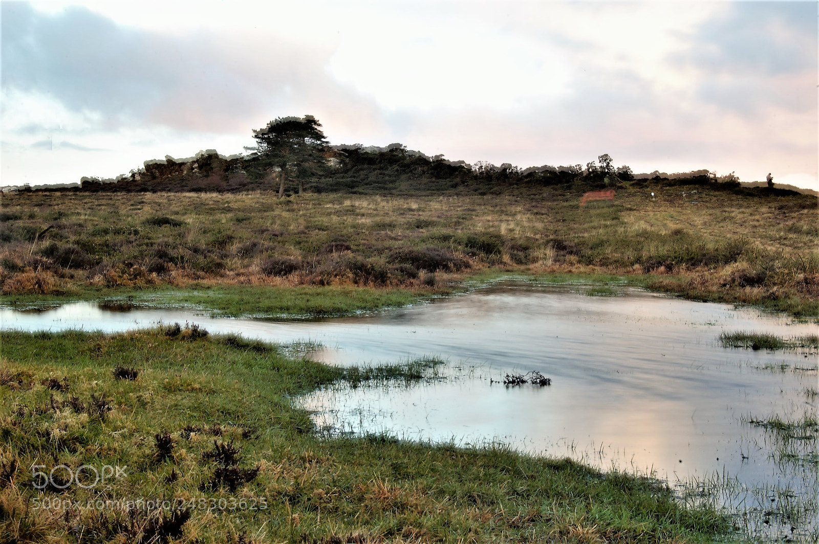 Nikon D40 sample photo. Monte caxado photography