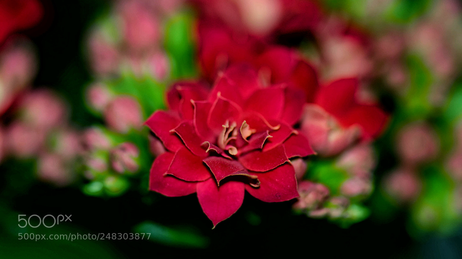 Nikon D5300 sample photo. Untitled photography