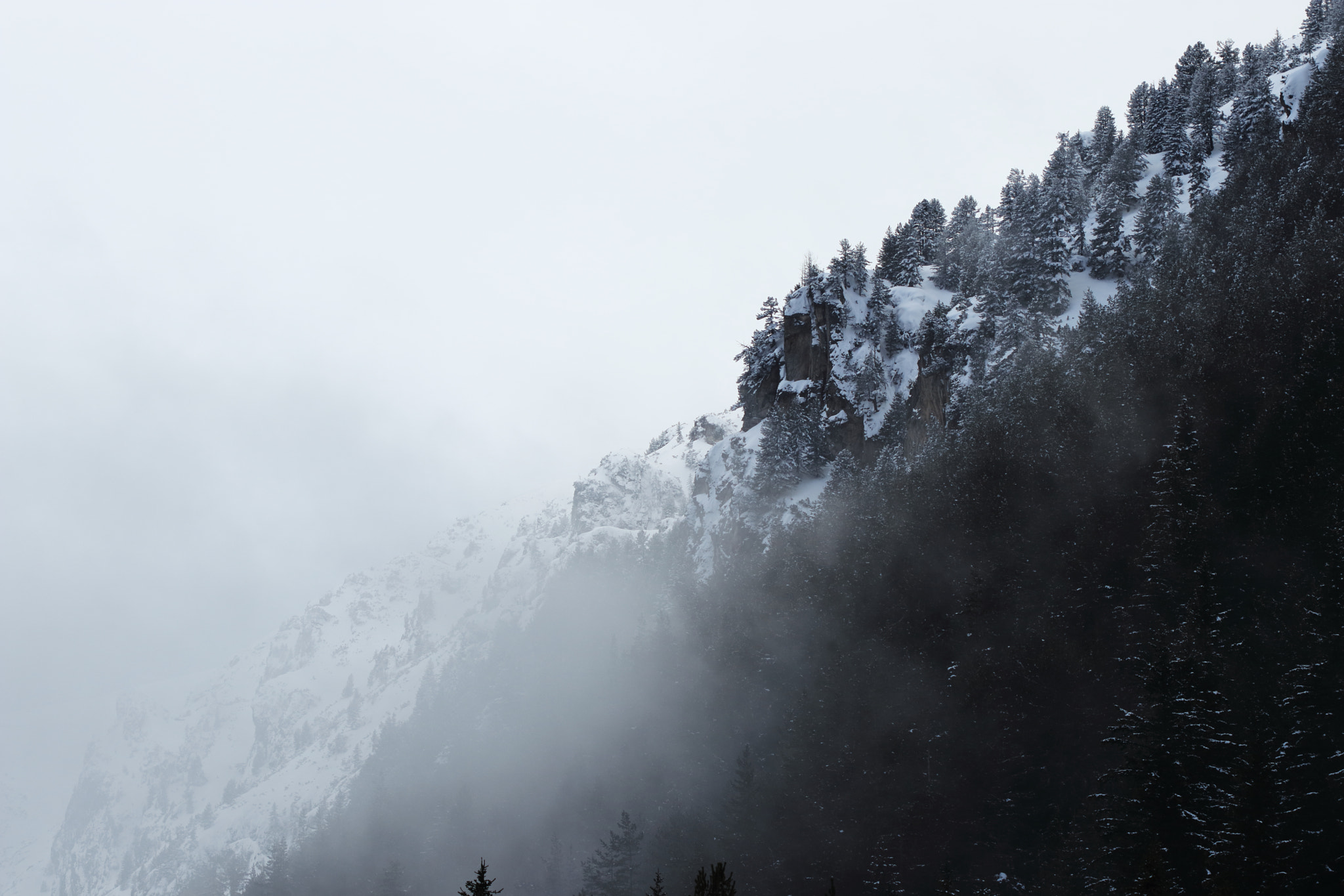 Canon EF 100mm F2.8 Macro USM sample photo. Cloudy slope photography