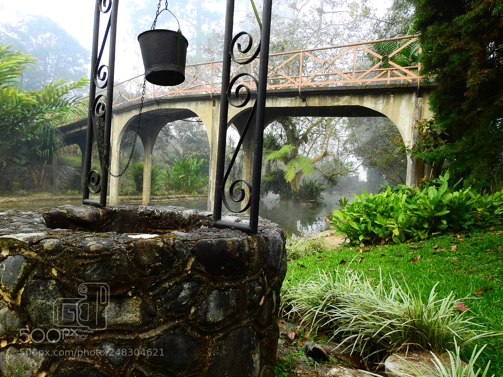 Nikon Coolpix P900 sample photo. Water well photography