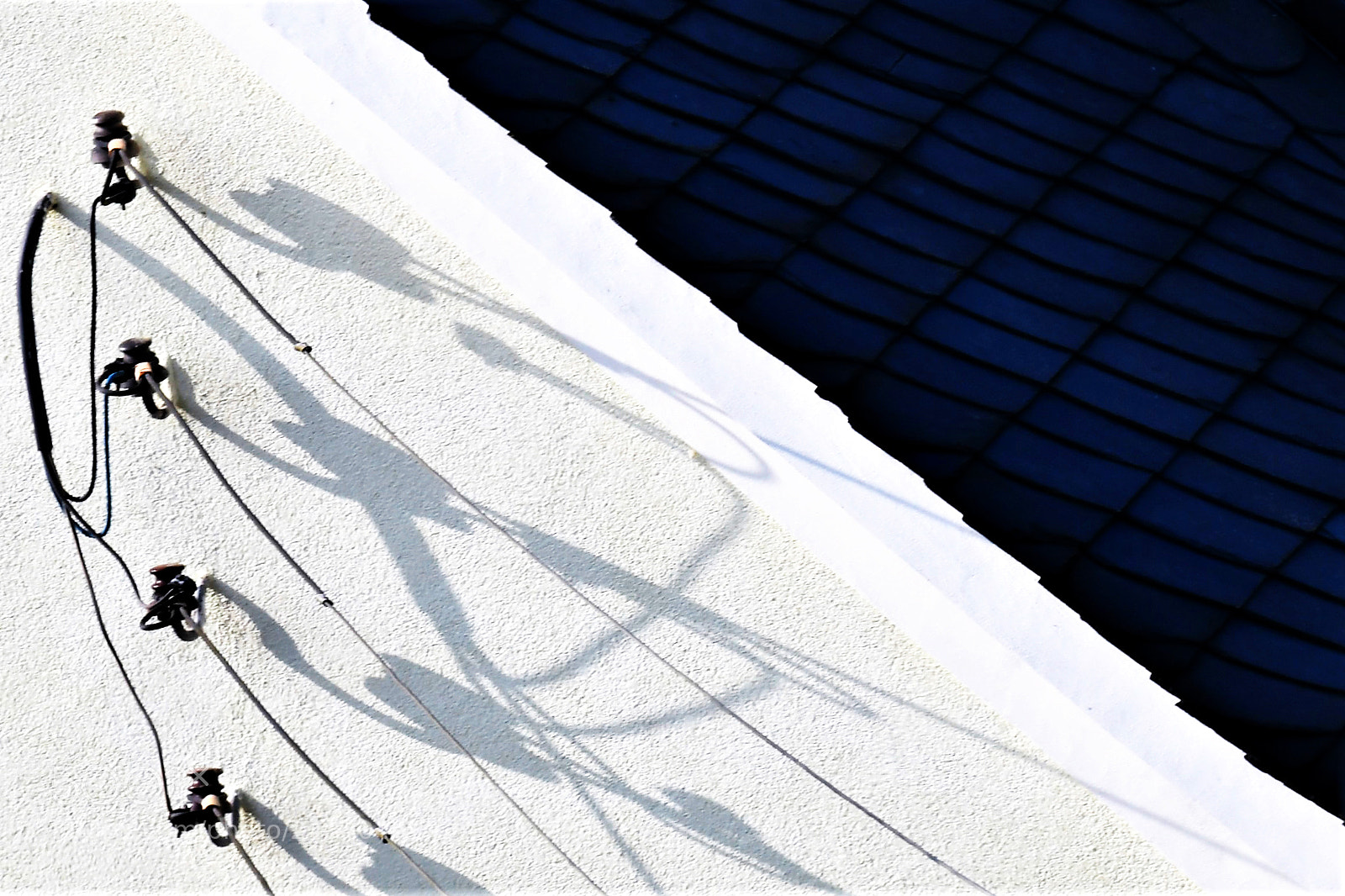 Nikon D500 sample photo. Hausfassade detail photography
