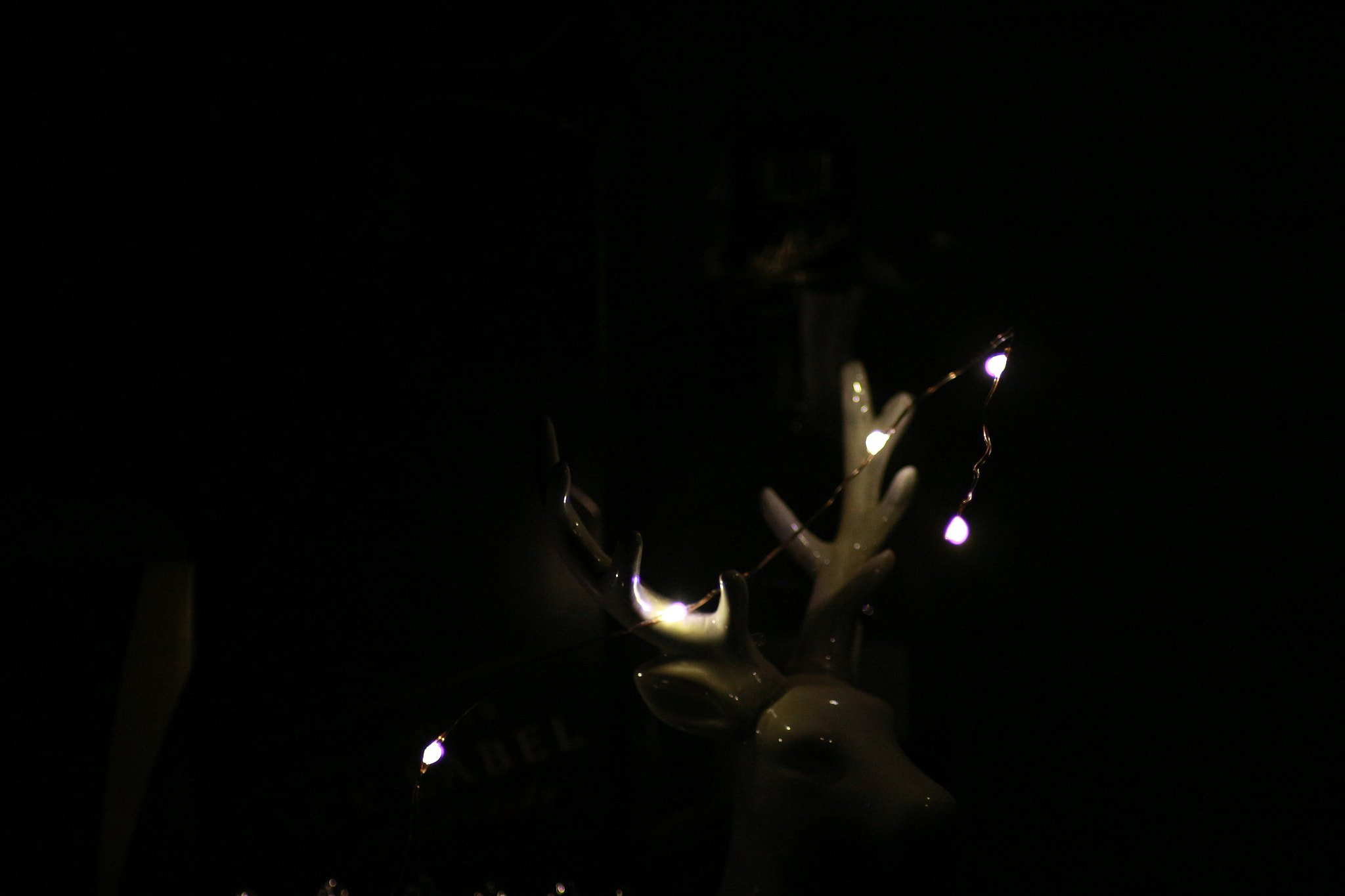 Canon EOS 700D (EOS Rebel T5i / EOS Kiss X7i) sample photo. Deer photography