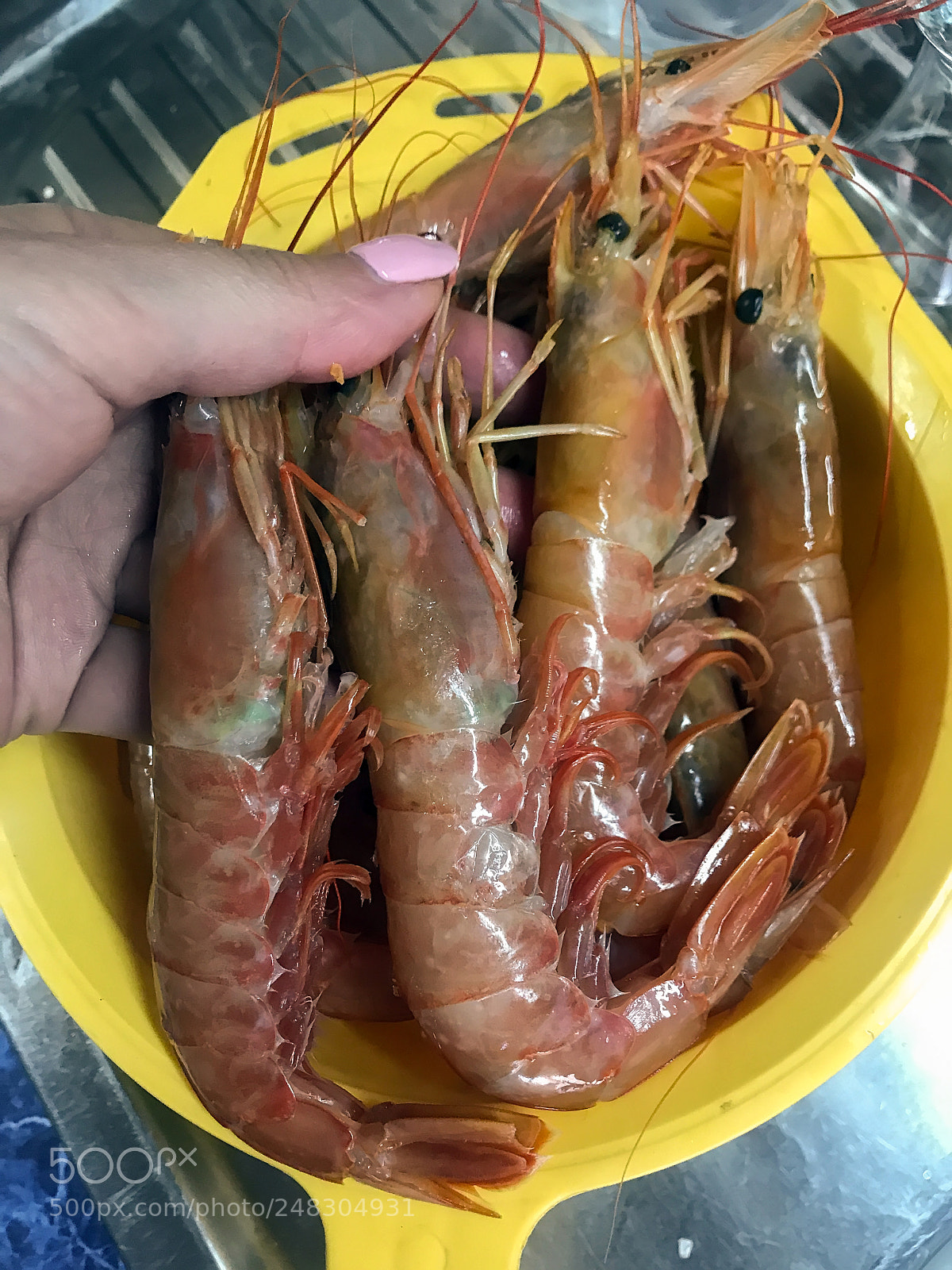 Apple iPhone 7 Plus sample photo. Prepare tasty big shrimps photography