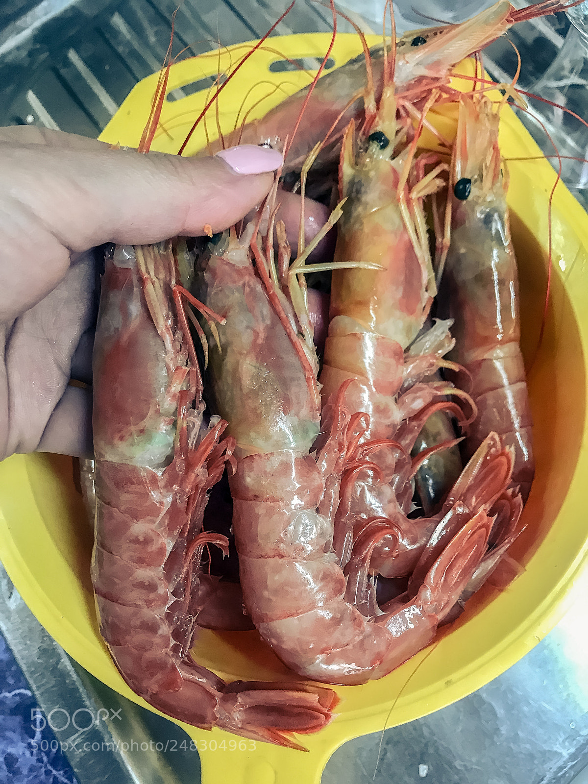 Apple iPhone 7 Plus sample photo. Prepare tasty big shrimps photography