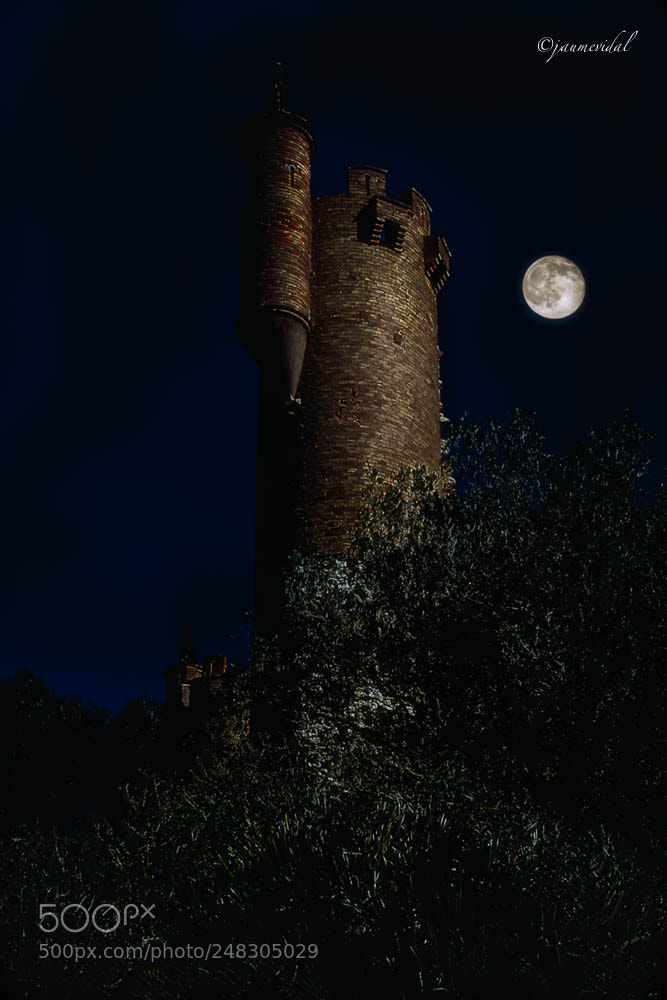 Canon EOS 7D sample photo. Torre del castillo de photography