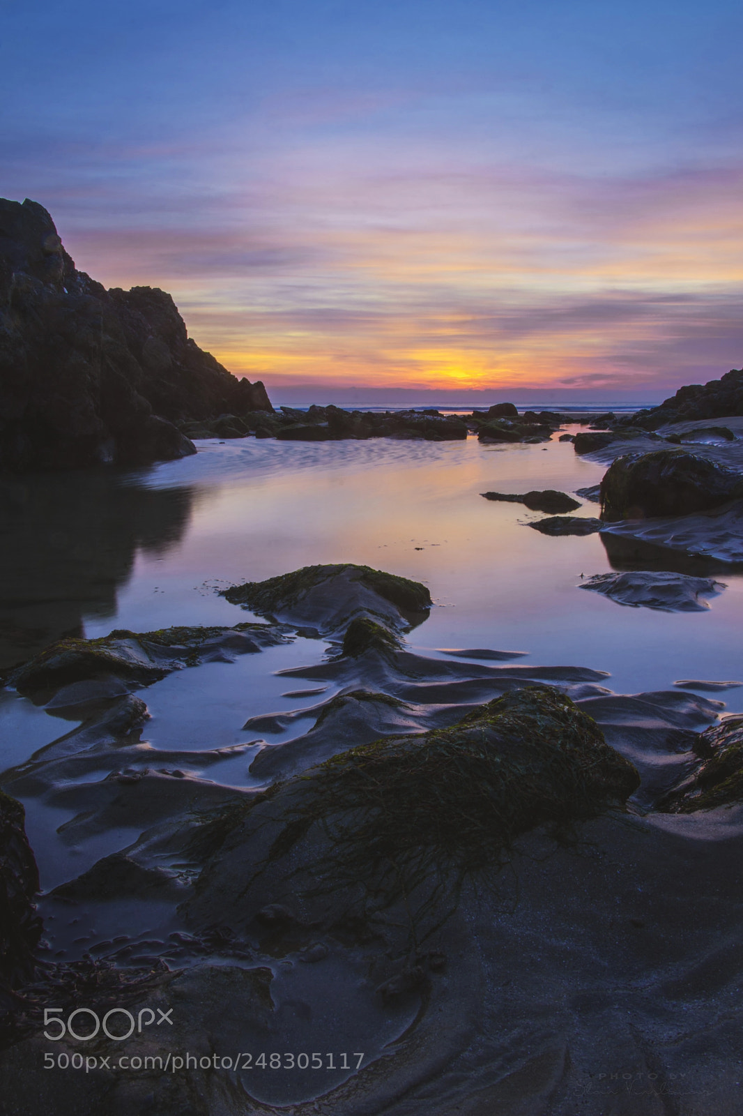 Nikon D7200 sample photo. Bones of the beach photography