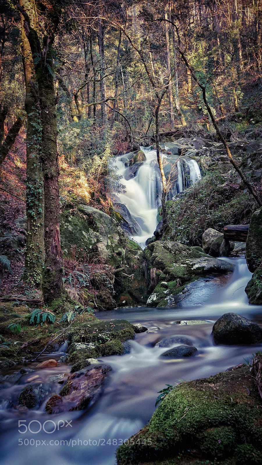 Sony a7 II sample photo. A fraga maxica photography