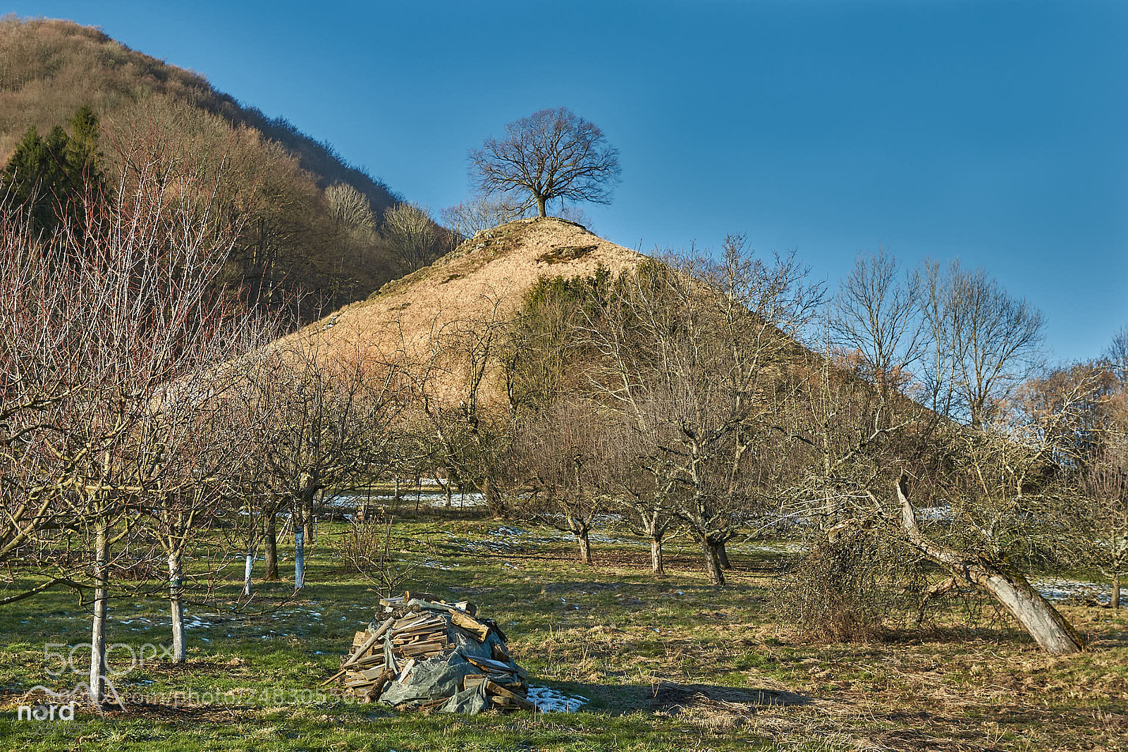 Sony SLT-A77 sample photo. Calverbühl am morgen photography