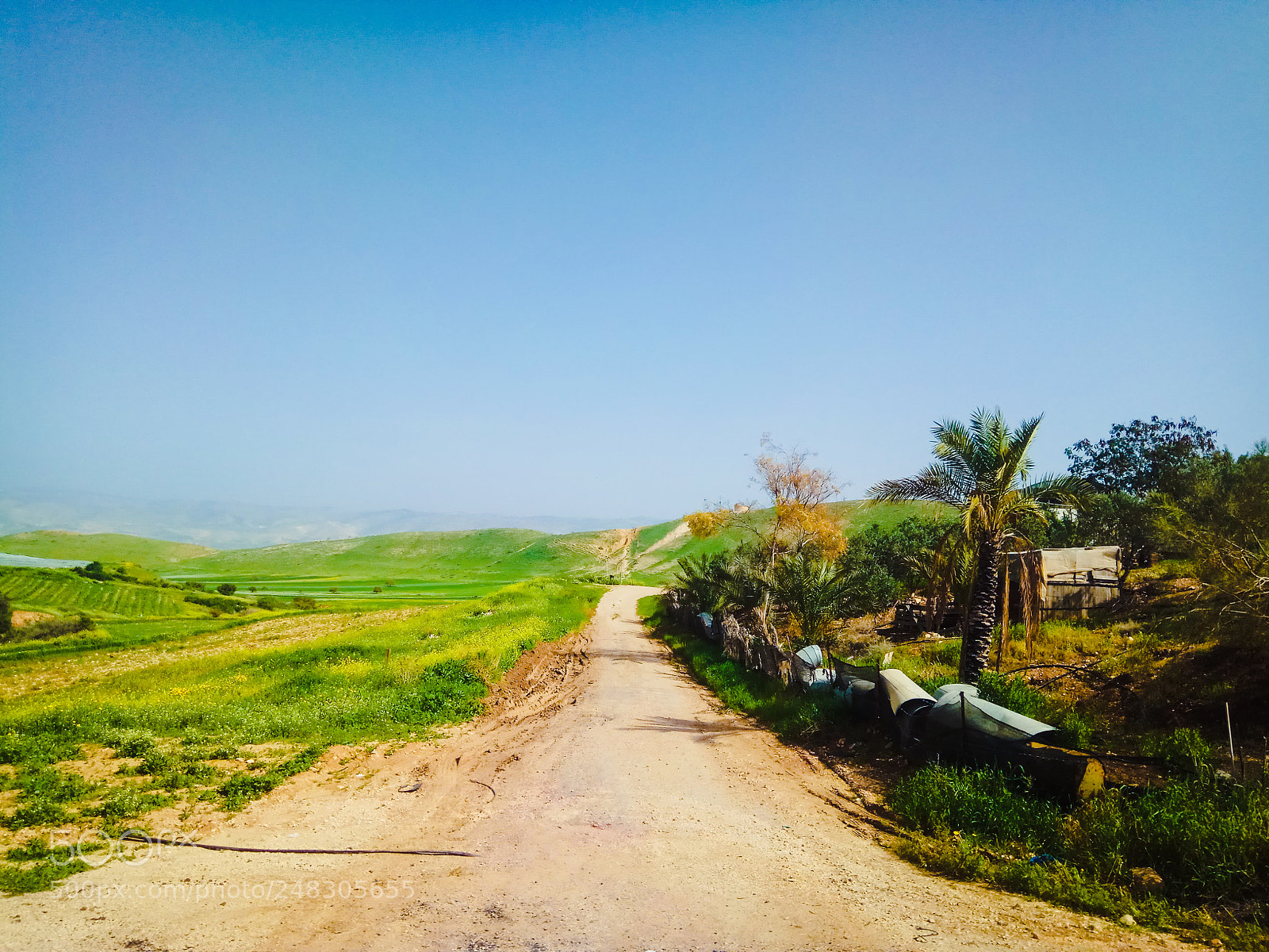 Xiaomi Redmi Note 4X sample photo. Untitled photography