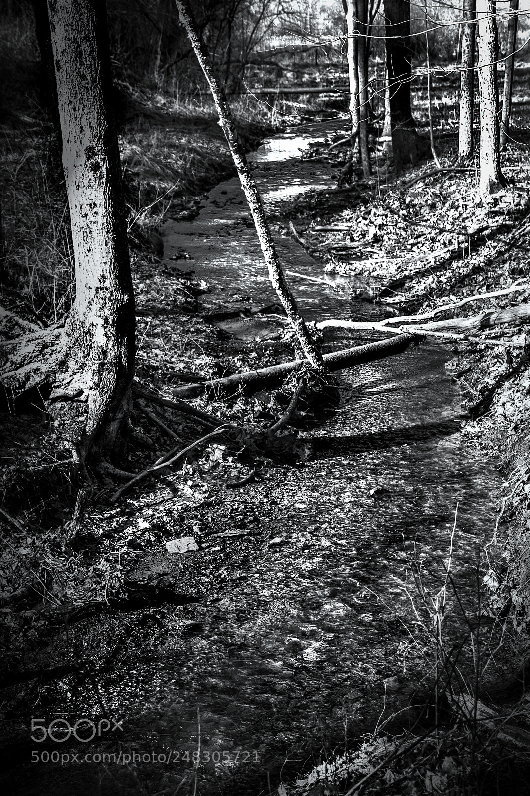 Nikon D7100 sample photo. Meandering creek photography