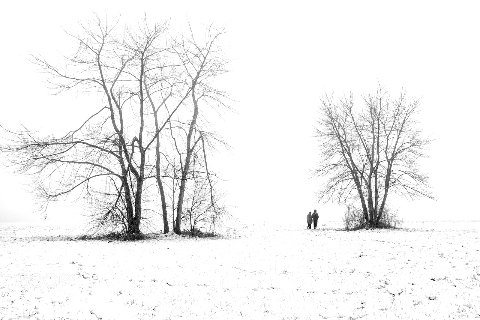 Nikon D5100 sample photo. Minimal bw photography