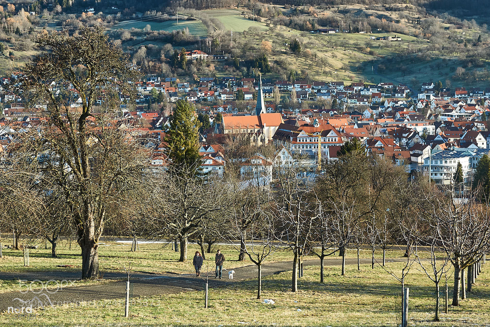 Sony SLT-A77 sample photo. Dettingen an der erms photography