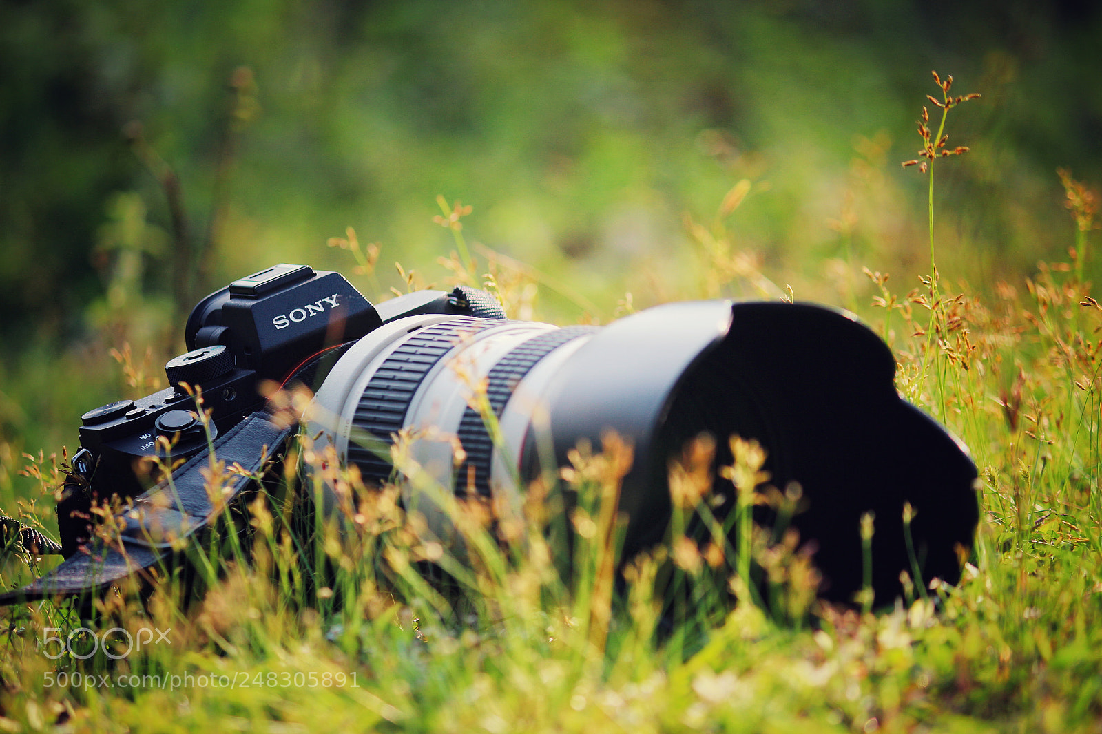Canon EOS 700D (EOS Rebel T5i / EOS Kiss X7i) sample photo. Still maker.. photography