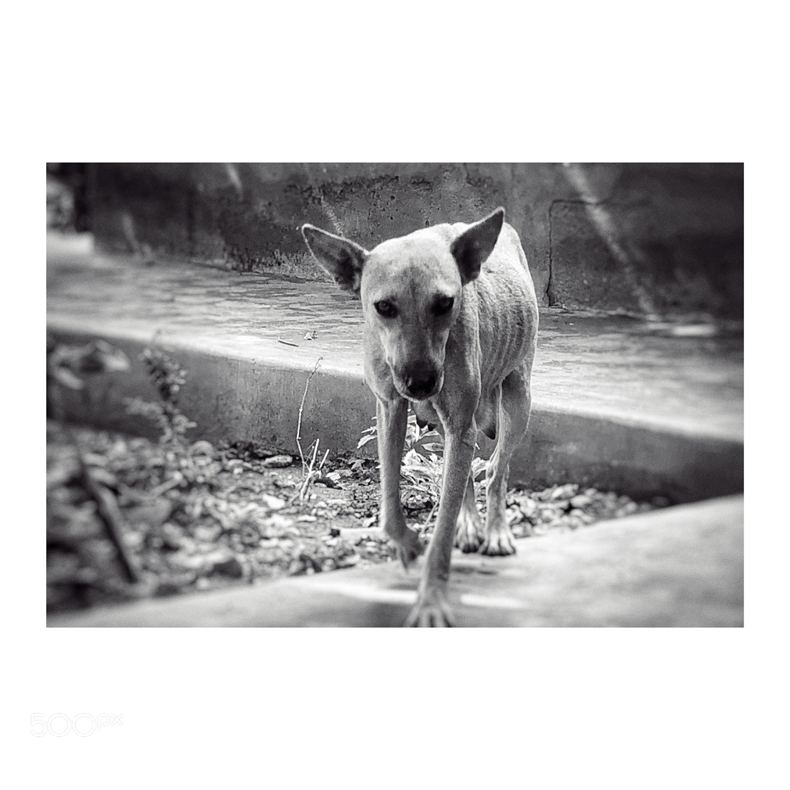 Apple iPhone 8 sample photo. Untitled photography