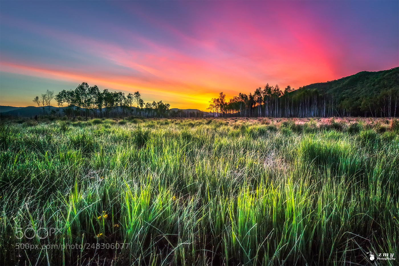 Canon EOS 5DS R sample photo. Wetland hongxia photography