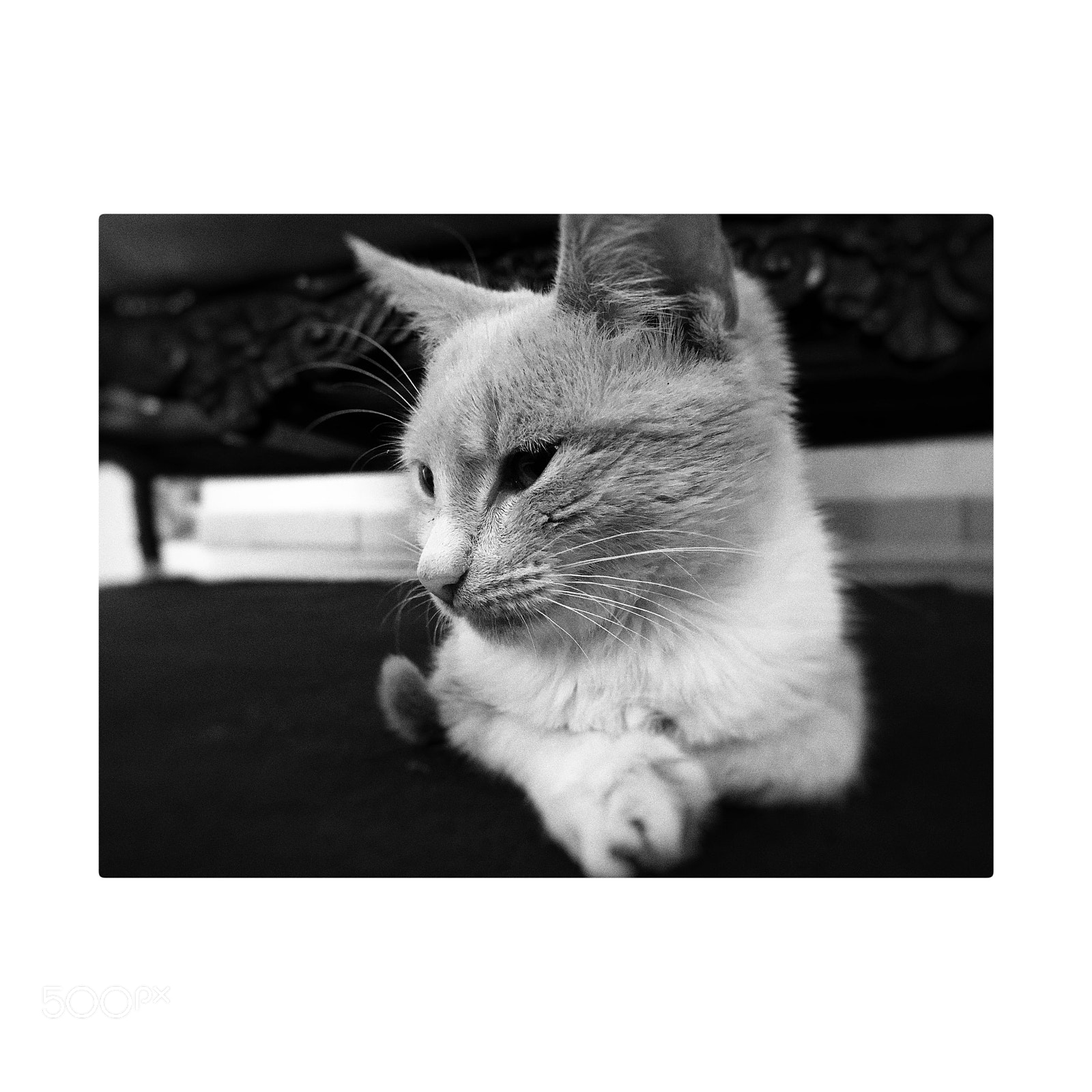 Apple iPhone 8 sample photo. Untitled photography