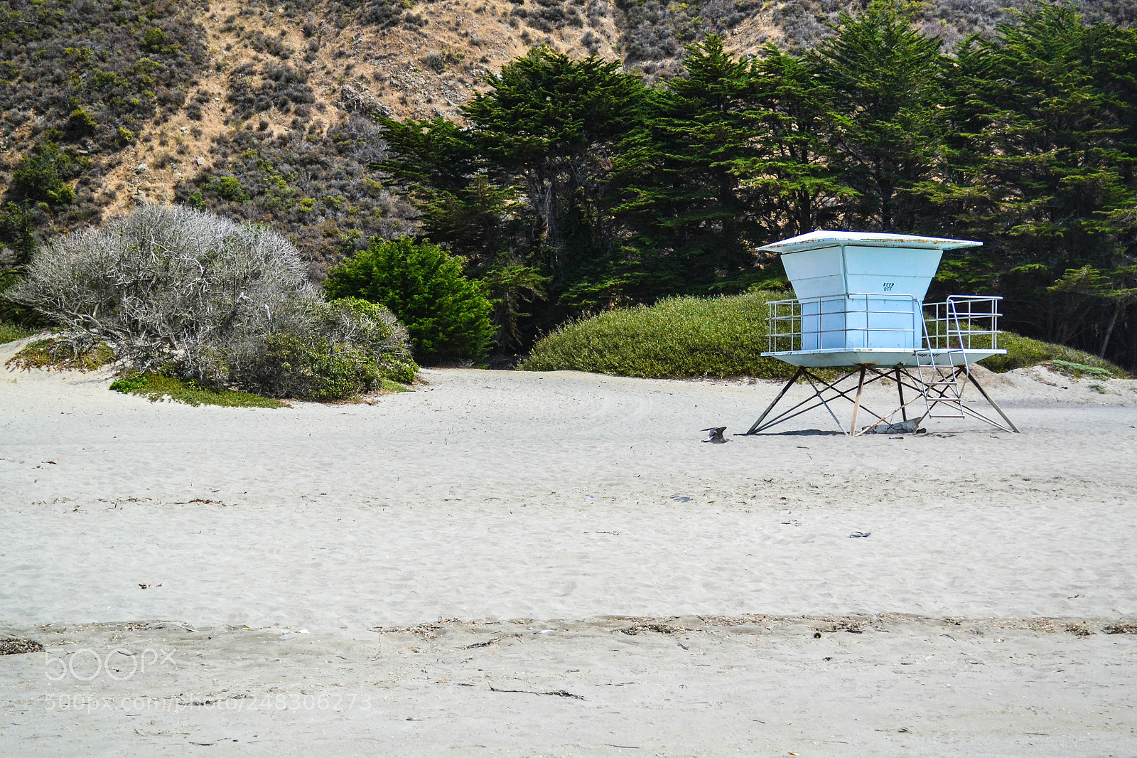 Nikon D3100 sample photo. Lifeguard off guard photography