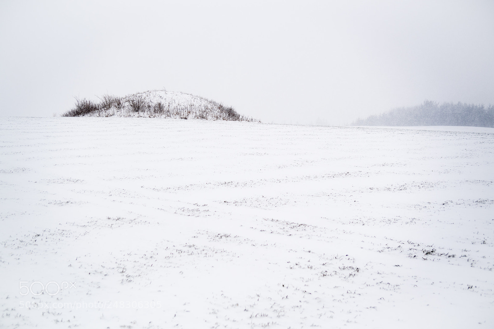 Nikon D500 sample photo. Burial mound photography