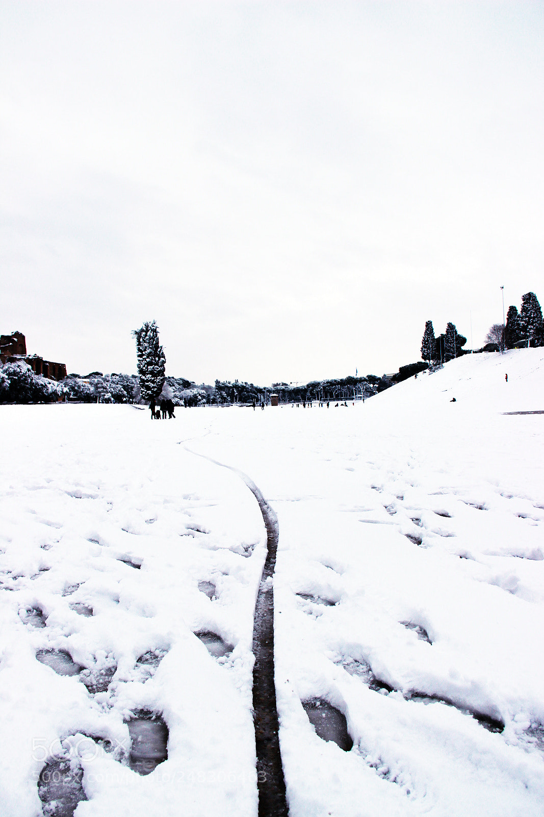 Canon EOS 600D (Rebel EOS T3i / EOS Kiss X5) sample photo. Circo massimo covered in photography