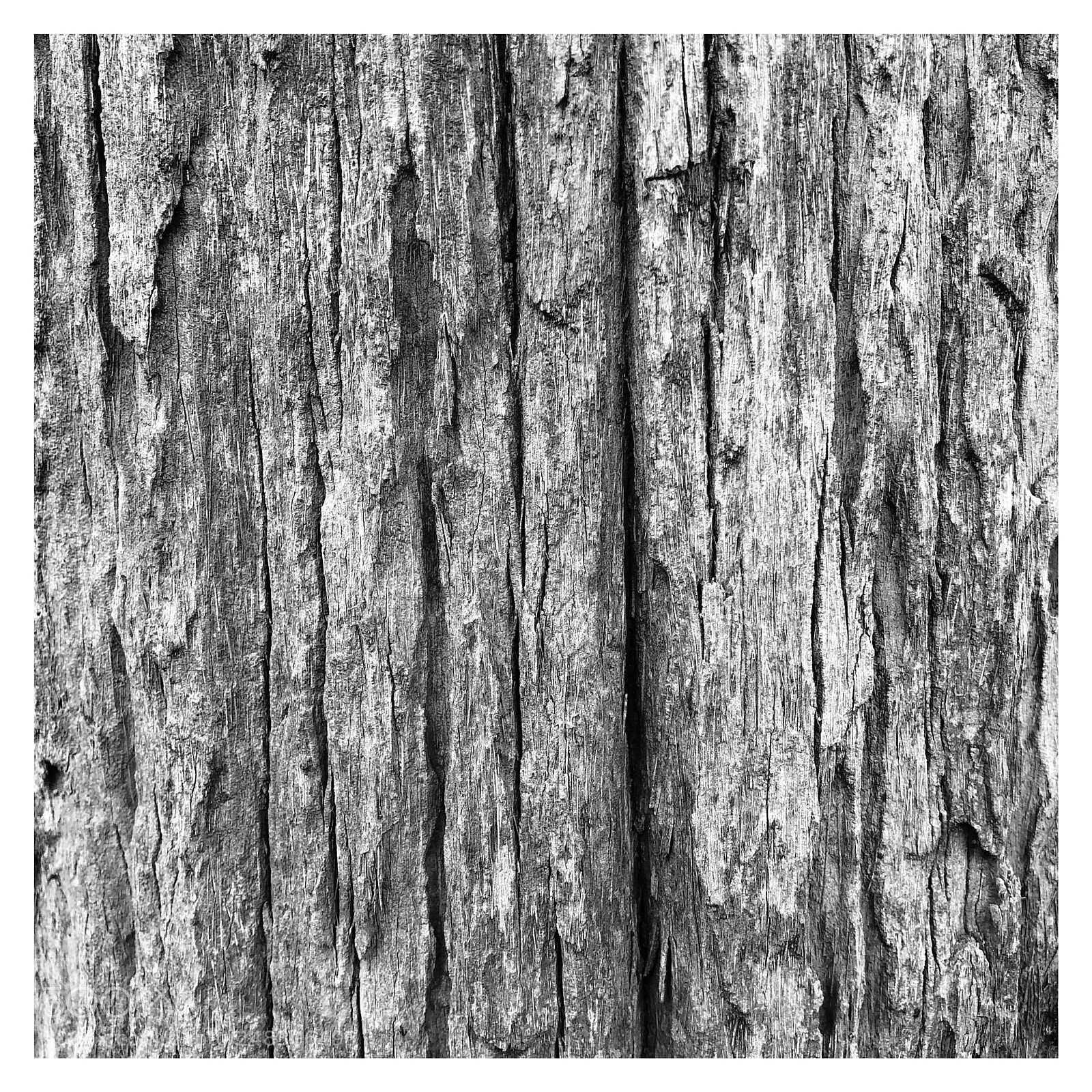 Apple iPhone 8 sample photo. Untitled photography