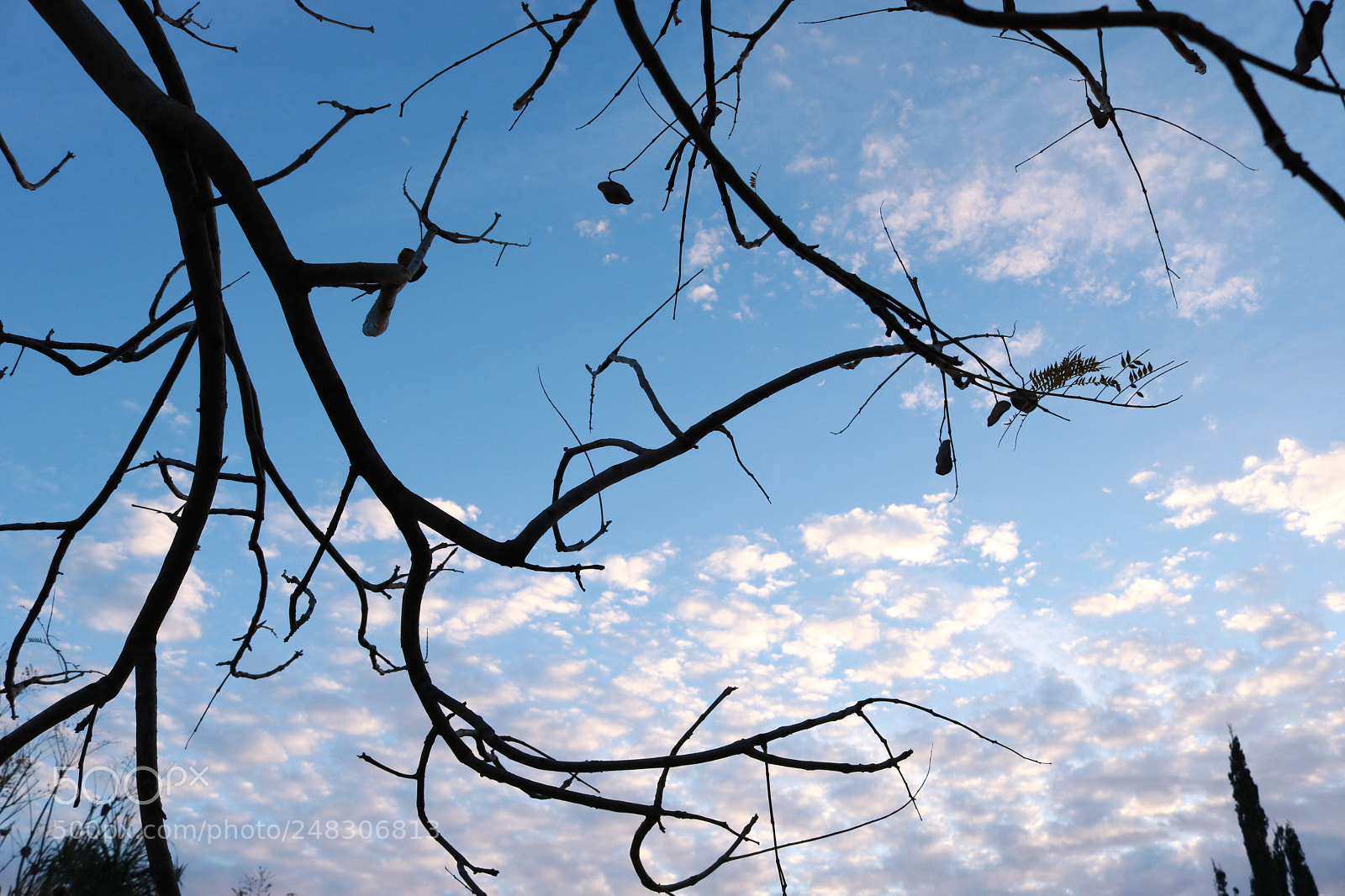 Canon EOS 750D (EOS Rebel T6i / EOS Kiss X8i) sample photo. Blue sky photography
