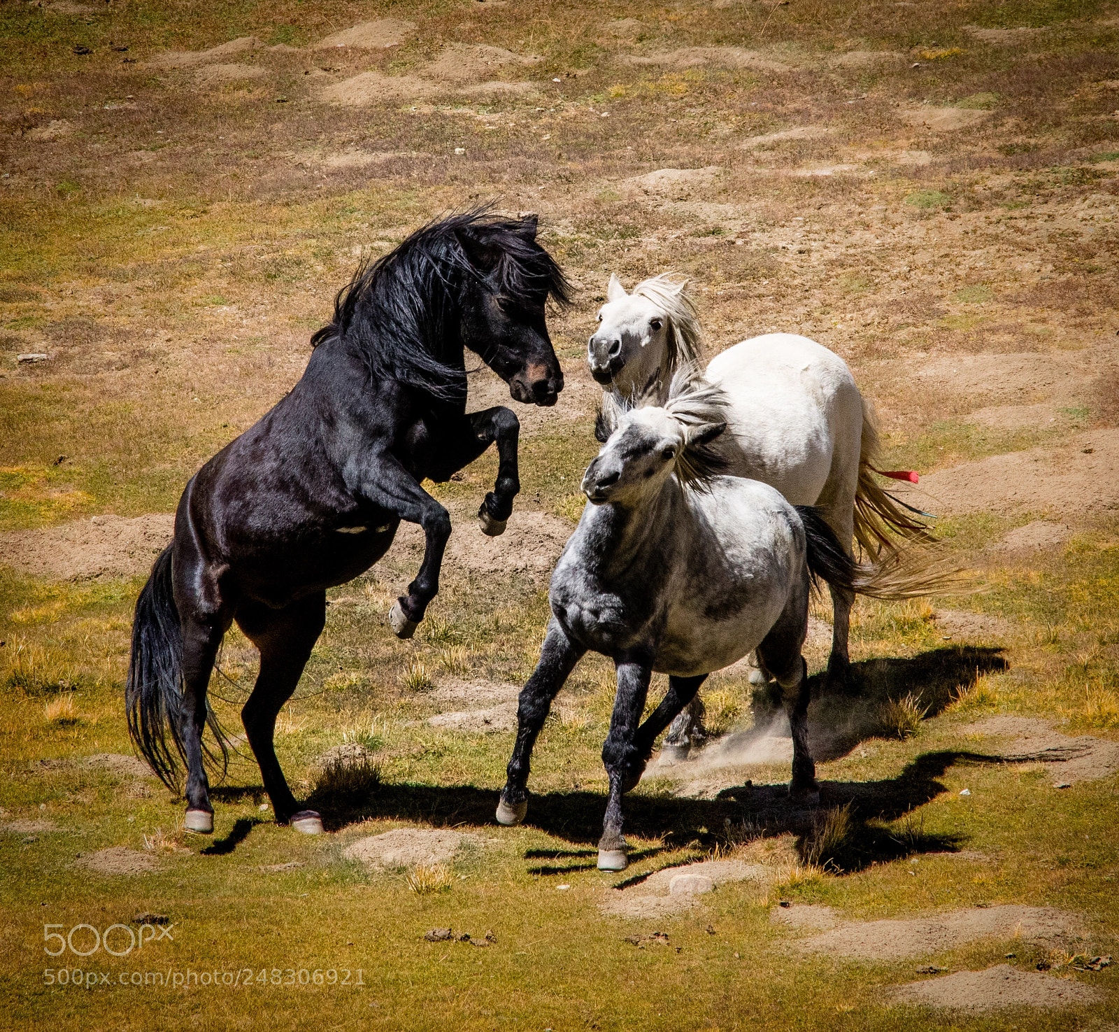 Nikon D5500 sample photo. Untitled photography