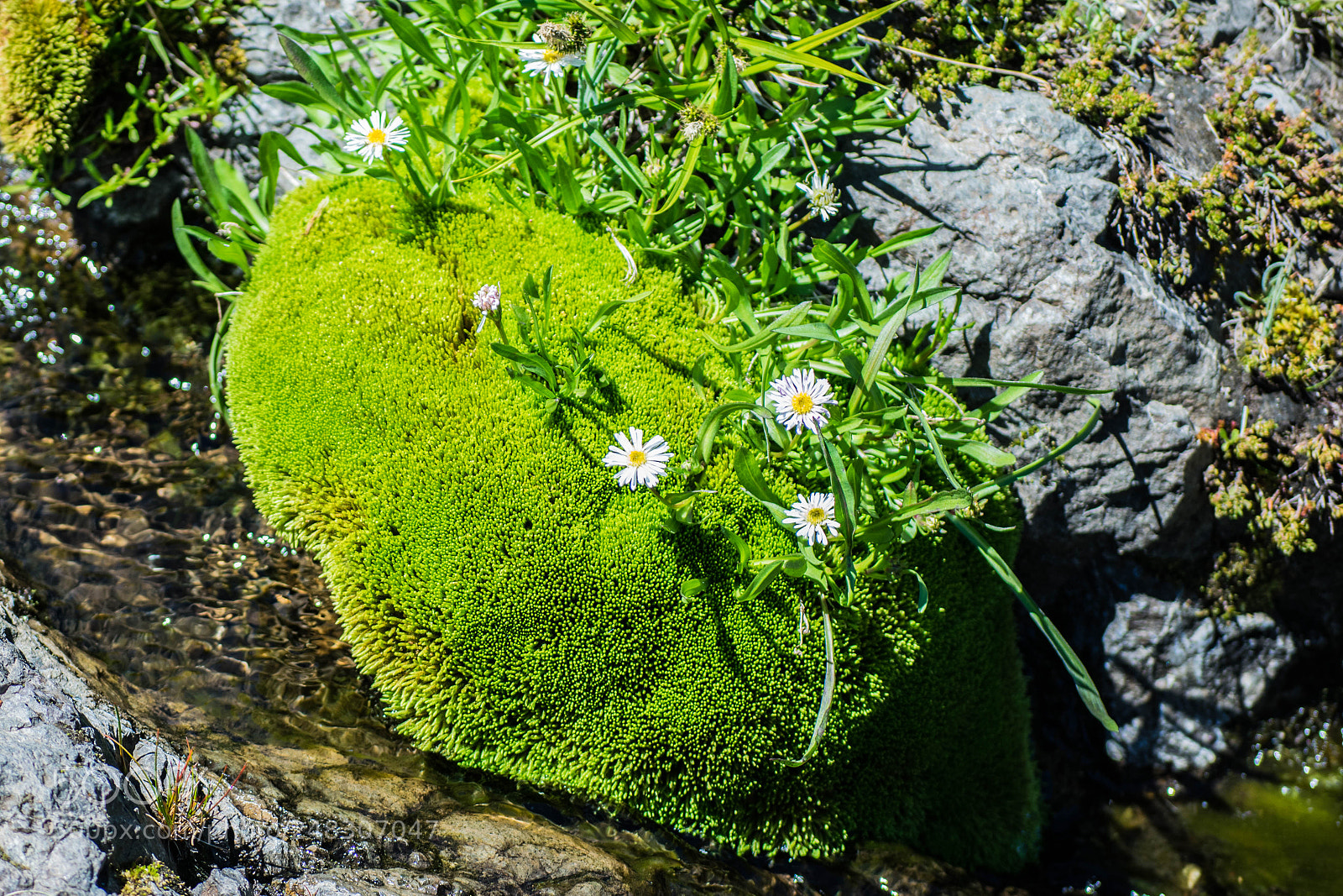 Nikon D5300 sample photo. Dsc photography