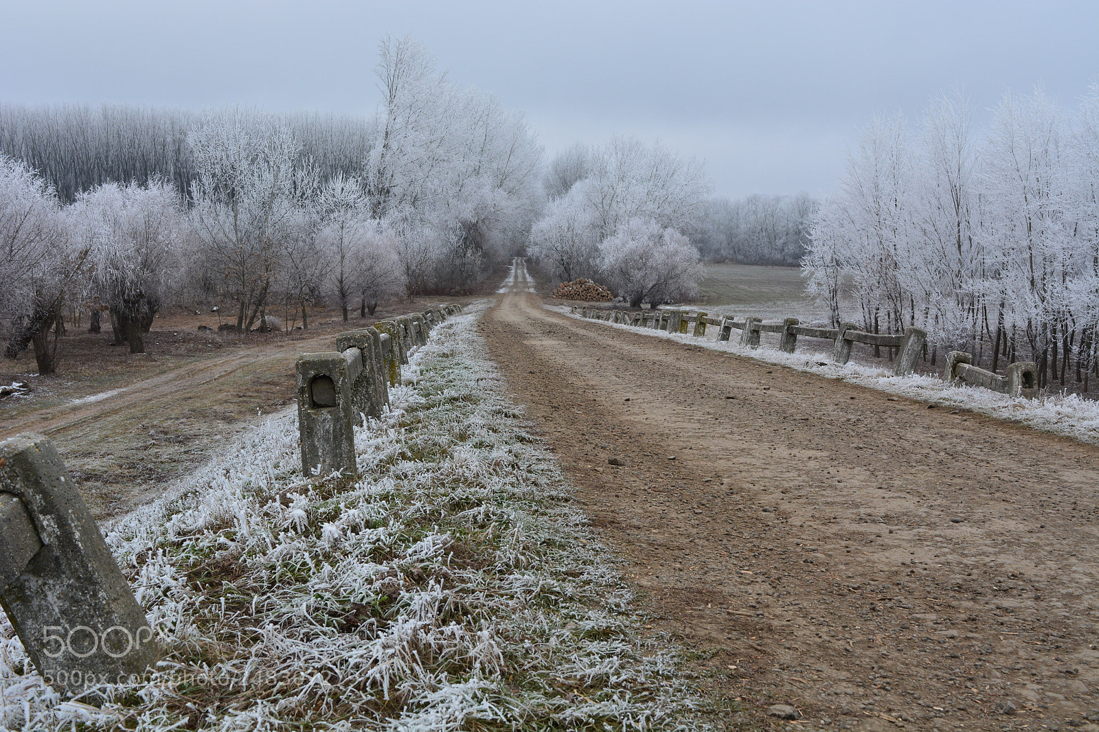 Nikon D5200 sample photo. Z zmar s t photography
