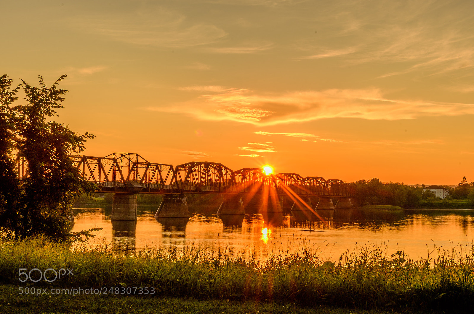 Nikon D500 sample photo. Sunrise over train bridge photography